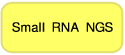 Small RNA NGS
